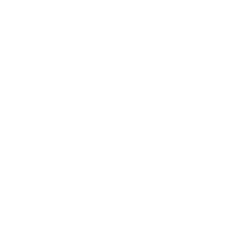 Mountain View 1.1 Logo